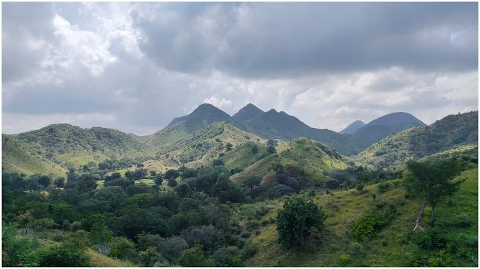 When Nature Is Cut Down: India’s Silent Ecological Crises