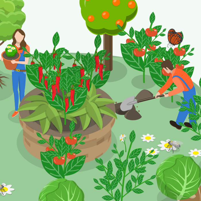 Biodiversity Loss and the Role of Conscious Consumerism