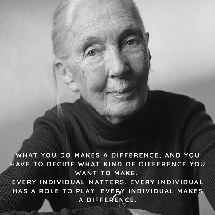 Honouring Dr Jane Goodall: A Global Icon of Hope, Conservation, and Compassion