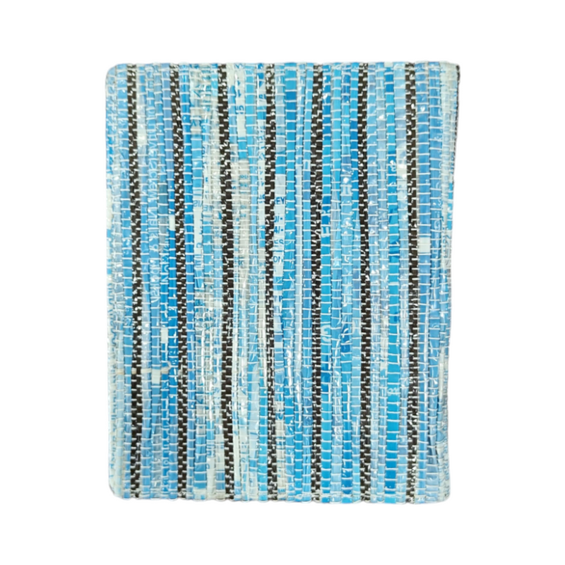 Passport Holder