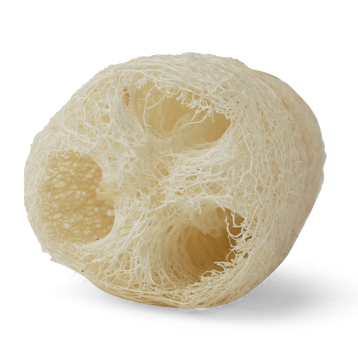 EcoFreaky Sundried Natural Loofah | Shower loofah