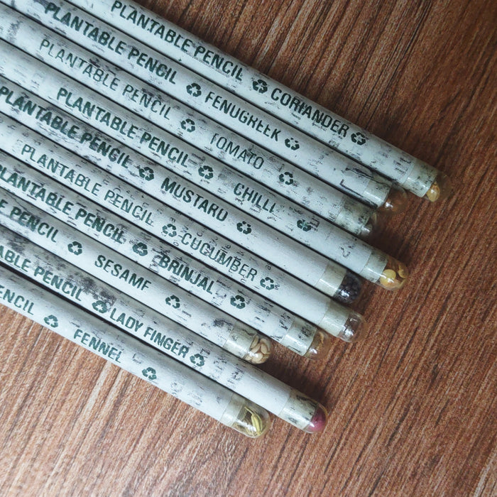 Plantable Seed Coloured Pencils (Set of 10)